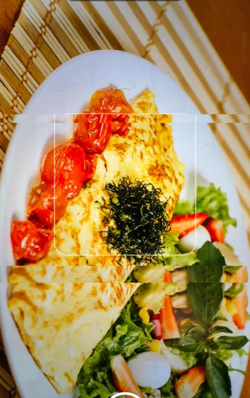 A plated meal framed in the 2BIB camera scanner, ready to be logged